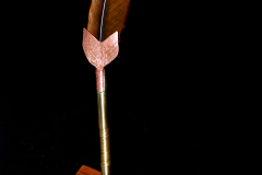 pioro1